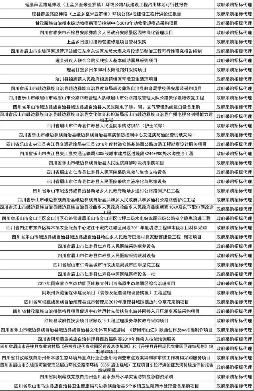 漢莎宣傳冊11.jpg